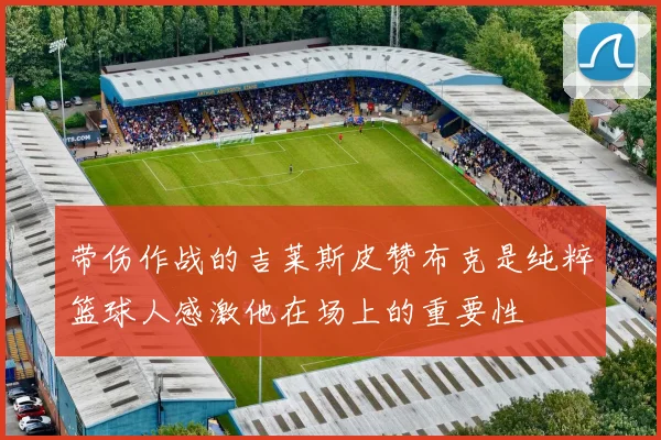 带伤作战的吉莱斯皮赞布克是纯粹篮球人感激他在场上的重要性
